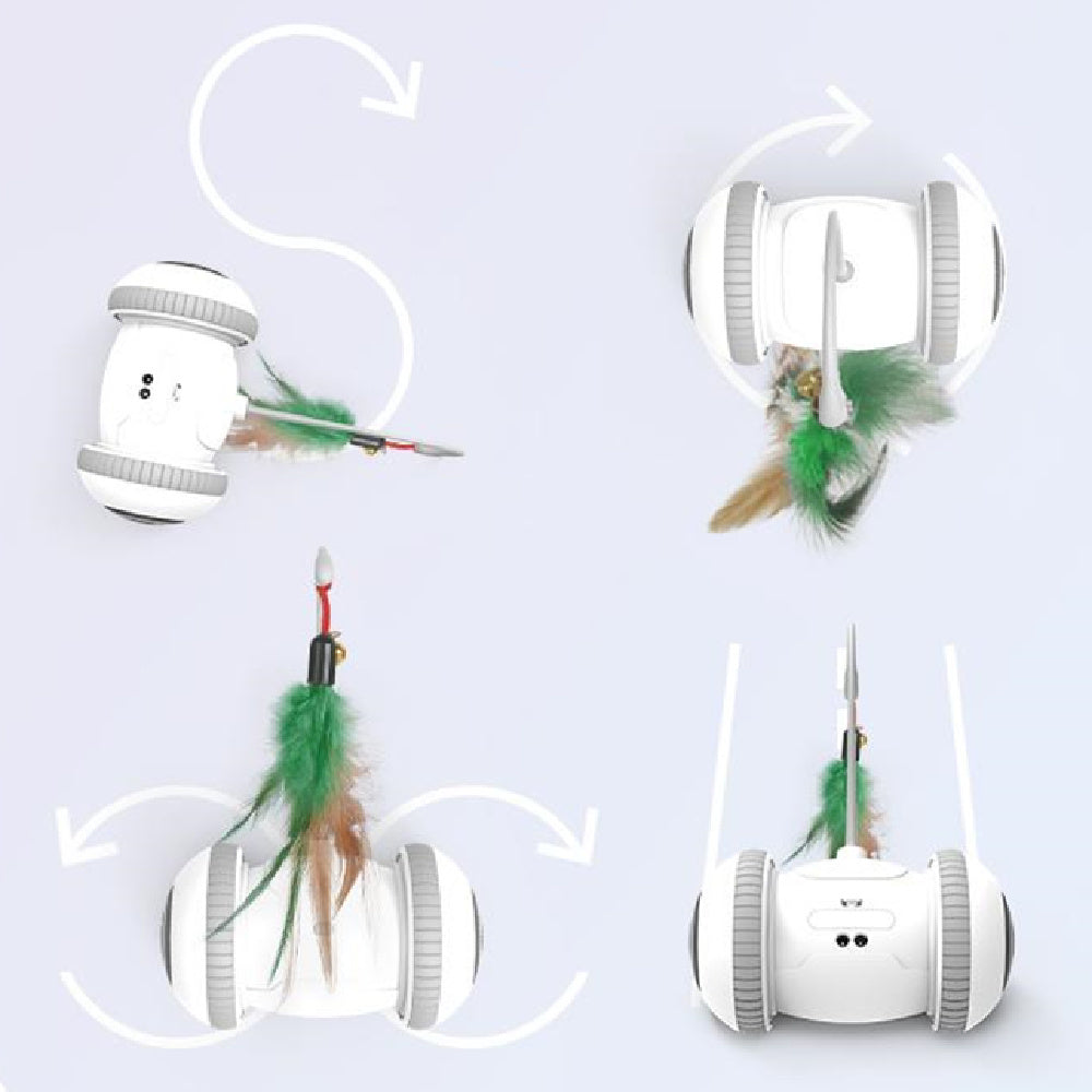 Interactive Cat Toy With Interchangeable Heads Pet Feather Toys